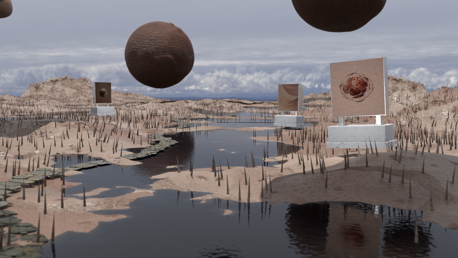 Fluid Bodies